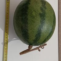 Anguria artificiale finto alta qualità