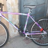 bicicletta Mtb