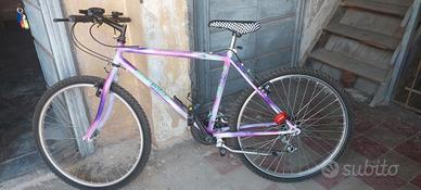 bicicletta Mtb