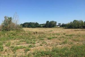 Immobile in asta di 56762 m² a Vigevano