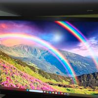 monitor gaming acer predator 24" XB241H