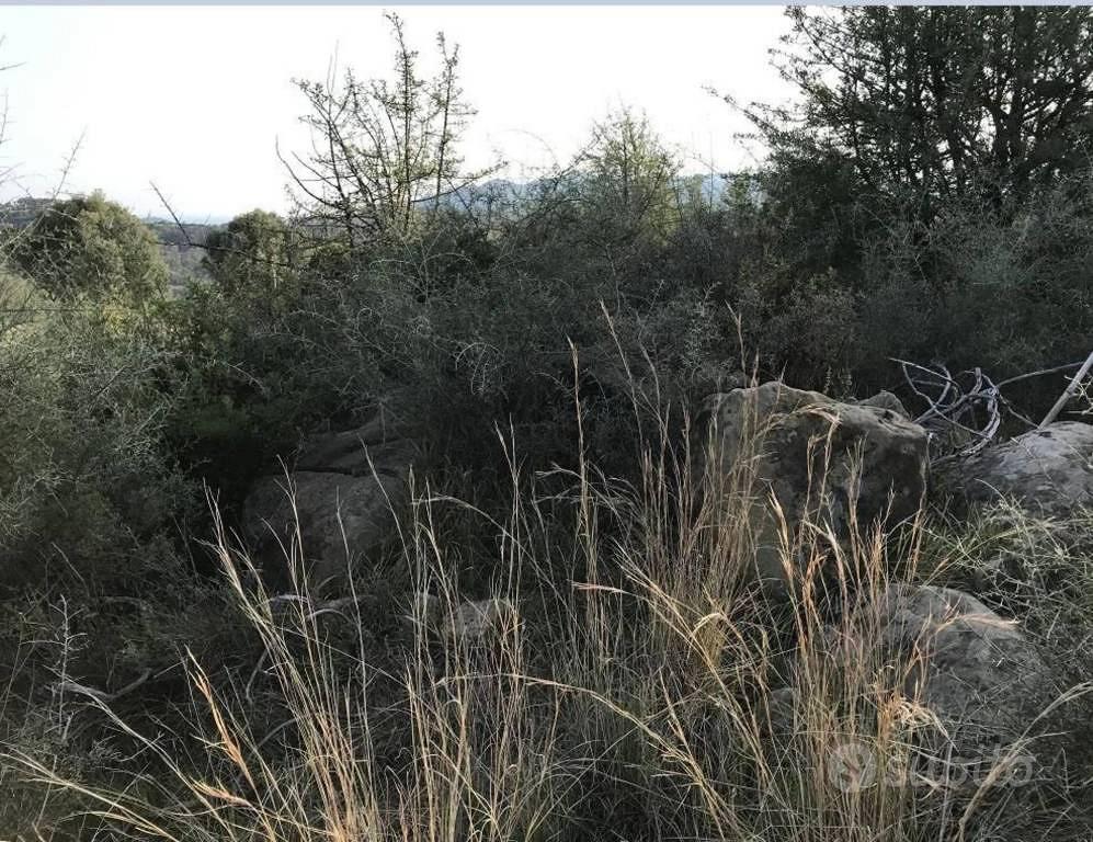 Immobile in asta di 9530 m² a Bianco - Vista 4