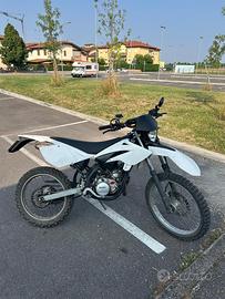 Beta rr 50