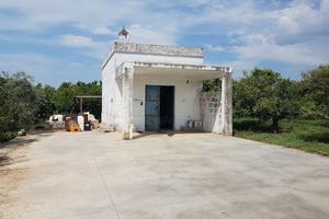 Agrumeto in c.da MARZIOTTA - PALAGIANO