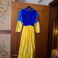 Biancaneve vestito carnevale