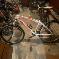 mtb bottecchia