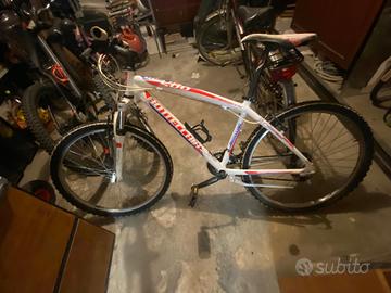 mtb bottecchia