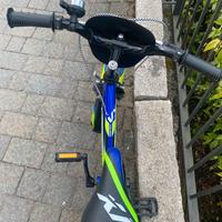 MTB bici  BAMBINO VORTEX RECORD 12