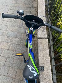 MTB bici  BAMBINO VORTEX RECORD 12