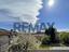 Immagine 29