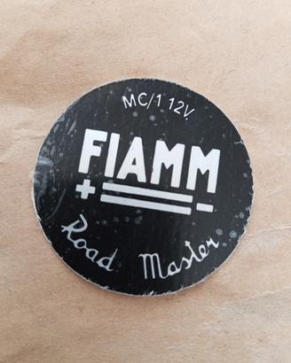 etichetta, serigrafia, trombe, fiamm, Road master.