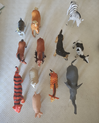 Animali plastica