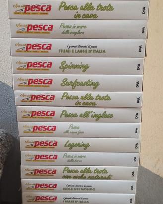 video cassette pesca