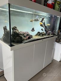 Acquario Juwel Rio 240 LED con mobile SBX