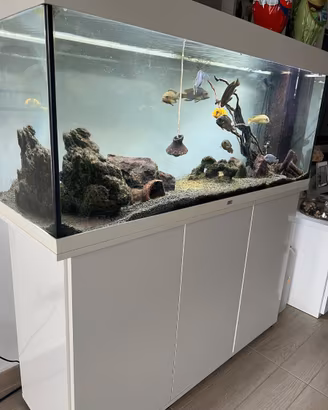 Acquario Juwel Rio 240 LED con mobile SBX