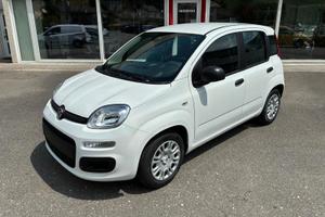 Fiat Panda Pandina 1.0 FireFly 65 CV Hybrid Pop