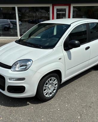 Fiat Panda Pandina 1.0 FireFly 65 CV Hybrid Pop