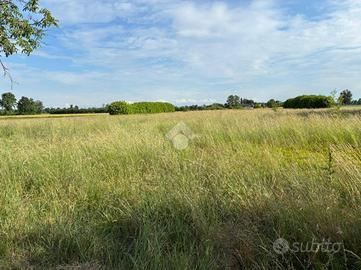 TER. AGRICOLO A CORBETTA
