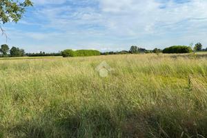 TER. AGRICOLO A CORBETTA