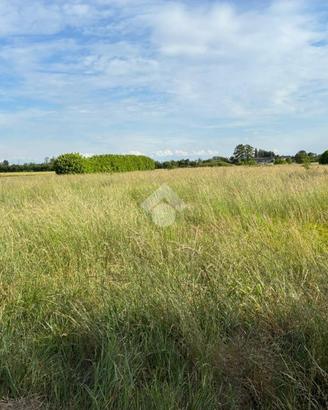 TER. AGRICOLO A CORBETTA