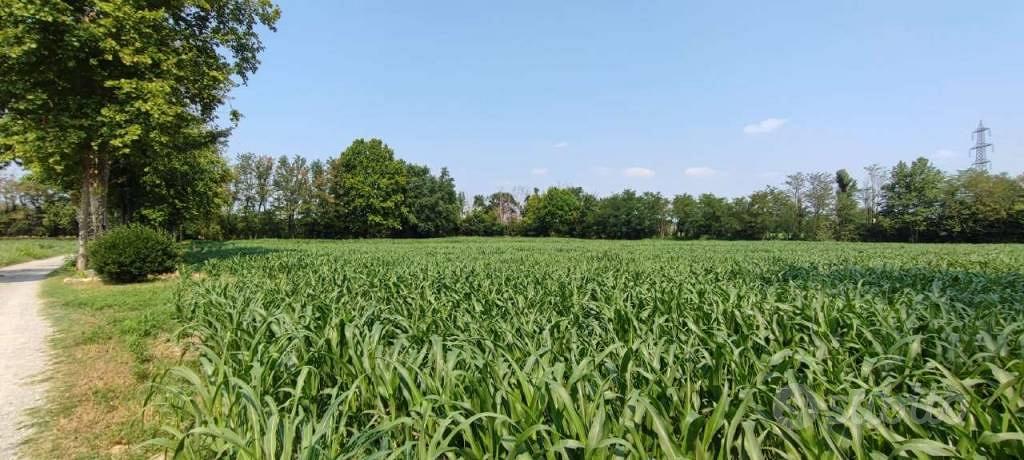 Terreno di 6260 m² a Cologno al Serio - Vista 2