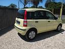 fiat-panda-1-1-actual