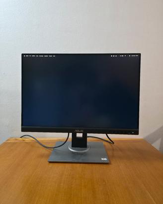 Asus ProArt PA248QV monitor professionale