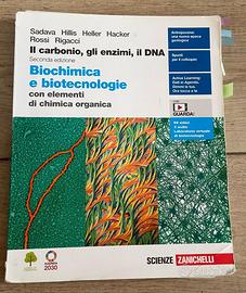 Il carbonio, gli enzimi, il DNA.