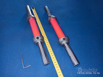 coppia manubri per pesi