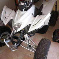 Quad Aeon Cobra 320 anno 2008