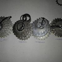 Pignoni   Bicicletta Corsa