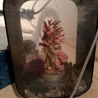 Acquario biorb 15lt