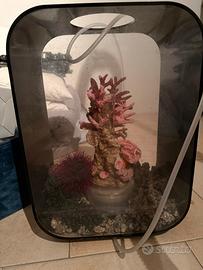 Acquario biorb 15lt