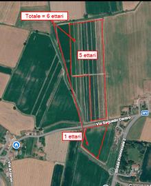 Vendita Terreno 6 ettari Lusia