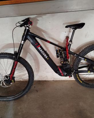 E-bike audax am1