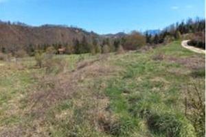 RGE 27/2022 - Tribunale di Urbino - Lotto 3