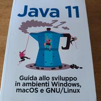 Java 11.   Pellegrino Principe 