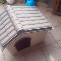 cuccia