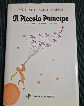 Il piccolo principe 