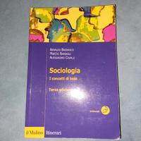 Libro Sociologia. I concetti di base