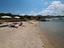 Immagine 26