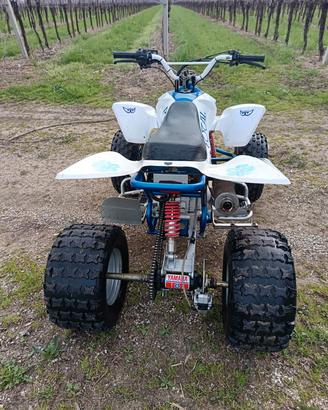 quad 125