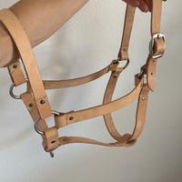 Cavezza, cavezza cavallo in cuoio, tutte le misure