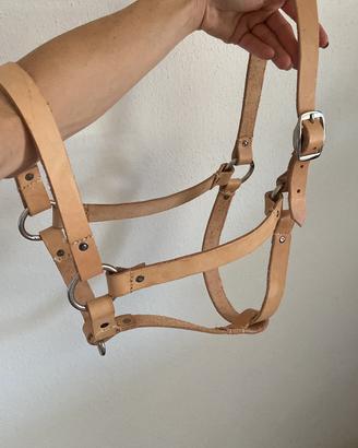 Cavezza, cavezza cavallo in cuoio, tutte le misure