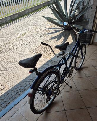 BIBICI 