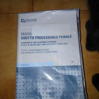 Manuale di diritto processuale penale