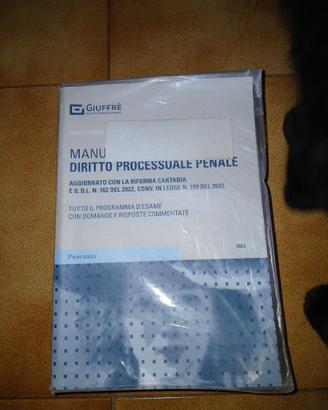 Manuale di diritto processuale penale