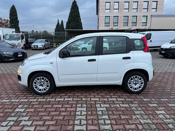 FIAT New Panda 1.2 S.&S. E6D-TEMP EASY 5 POSTI