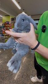 Ariete nani blu di vienna coniglietti