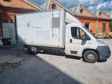 Furgone fiat cassonato con porte dietro